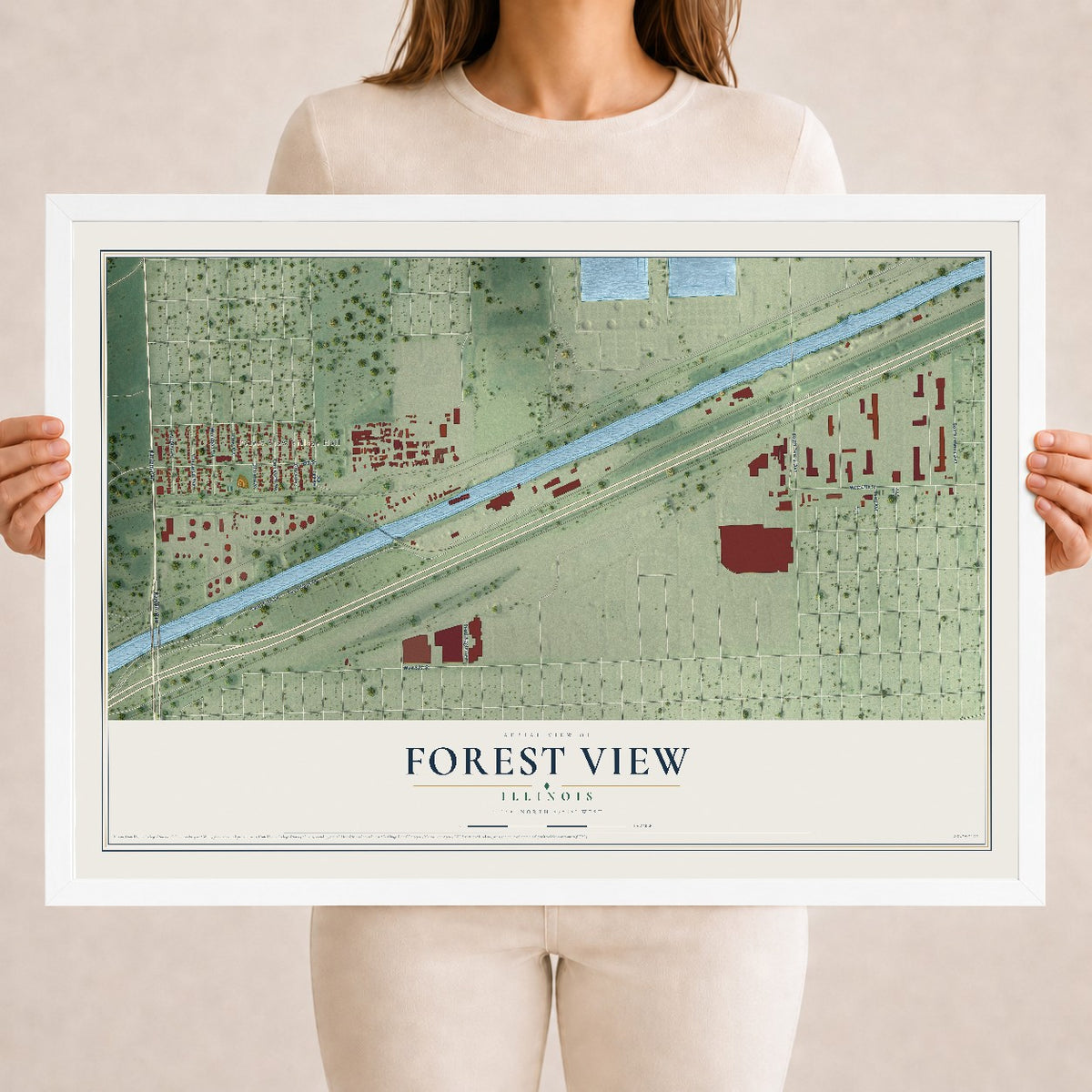 Map of Forest View, Illinois, 18 x 24 inch print in a white wood frame