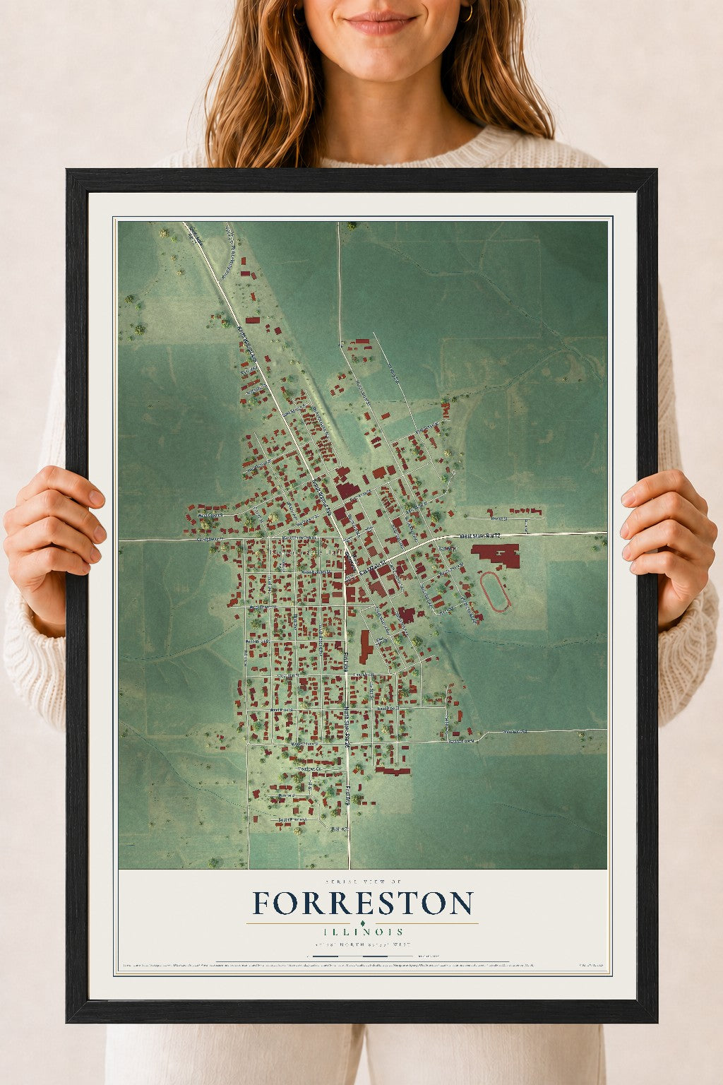 Map of Forreston, Illinois, 18 x 24 inch print in a black wood frame