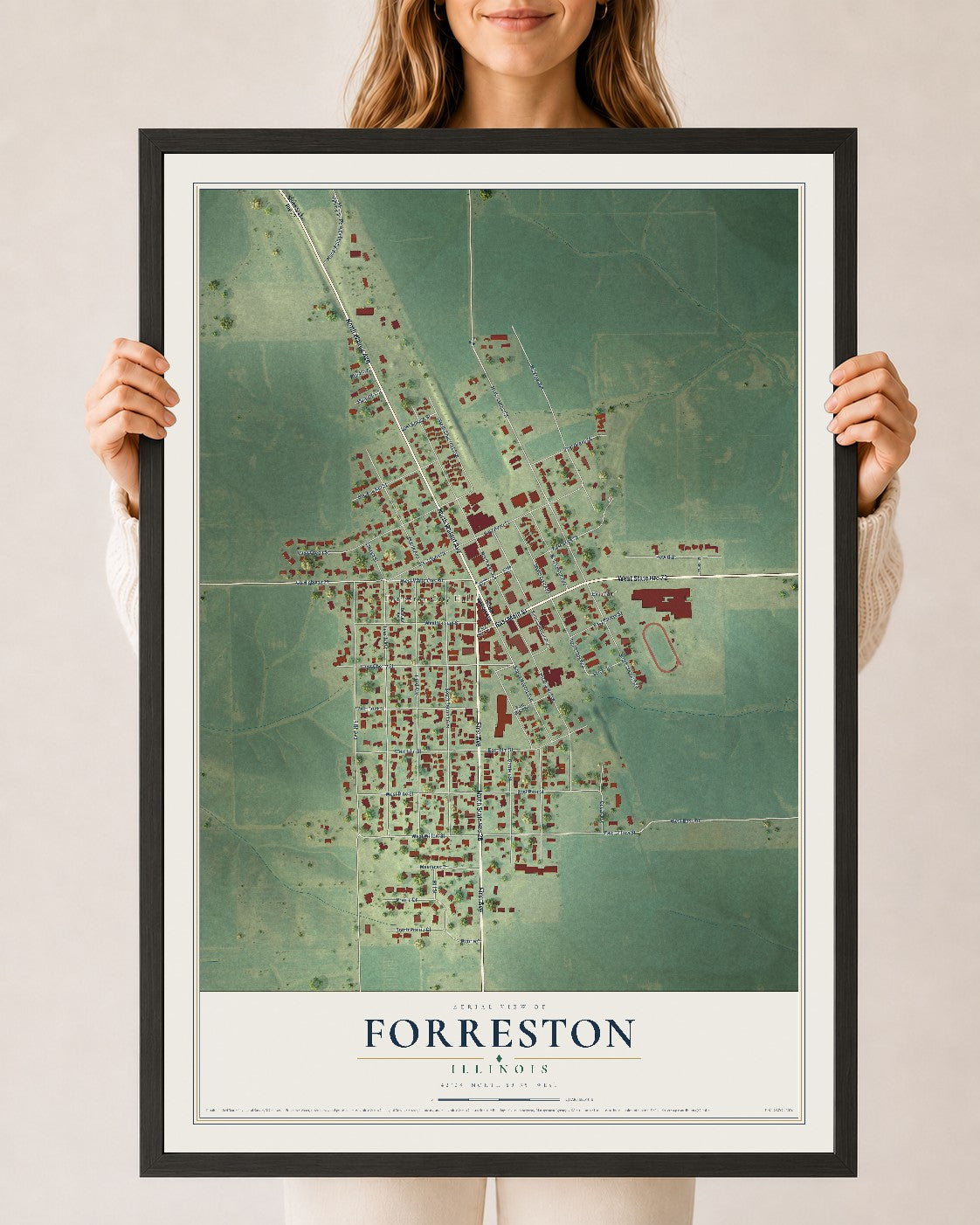 Map of Forreston, Illinois, 24 x 36 inch print in a black wood frame
