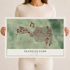 Map of Franklin Park, Illinois, 12 x 18 inch unframed archival matte print