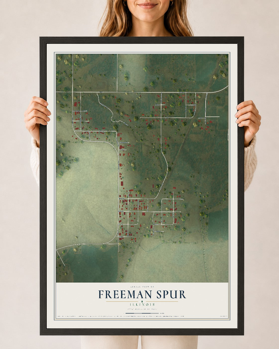 Map of Freeman Spur, Illinois, 24 x 36 inch print in a black wood frame