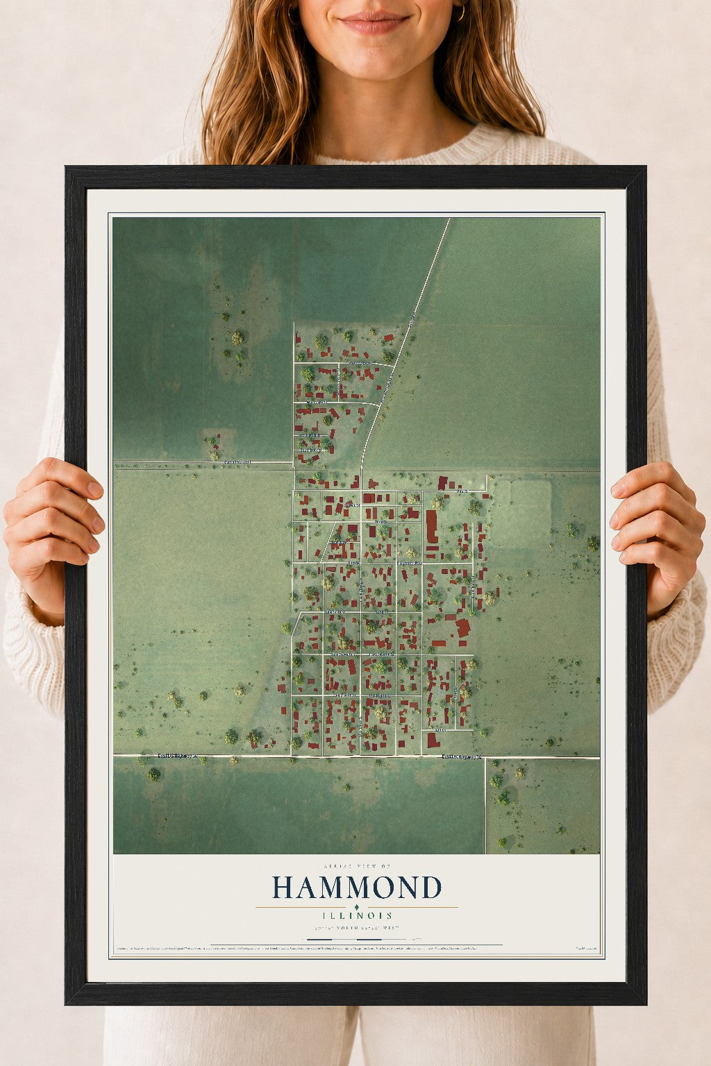 Map of Hammond, Illinois, 18 x 24 inch print in a black wood frame