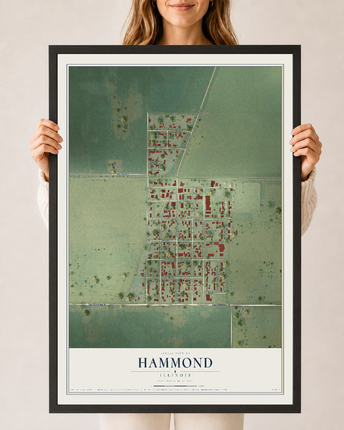 Map of Hammond, Illinois, 24 x 36 inch print in a black wood frame