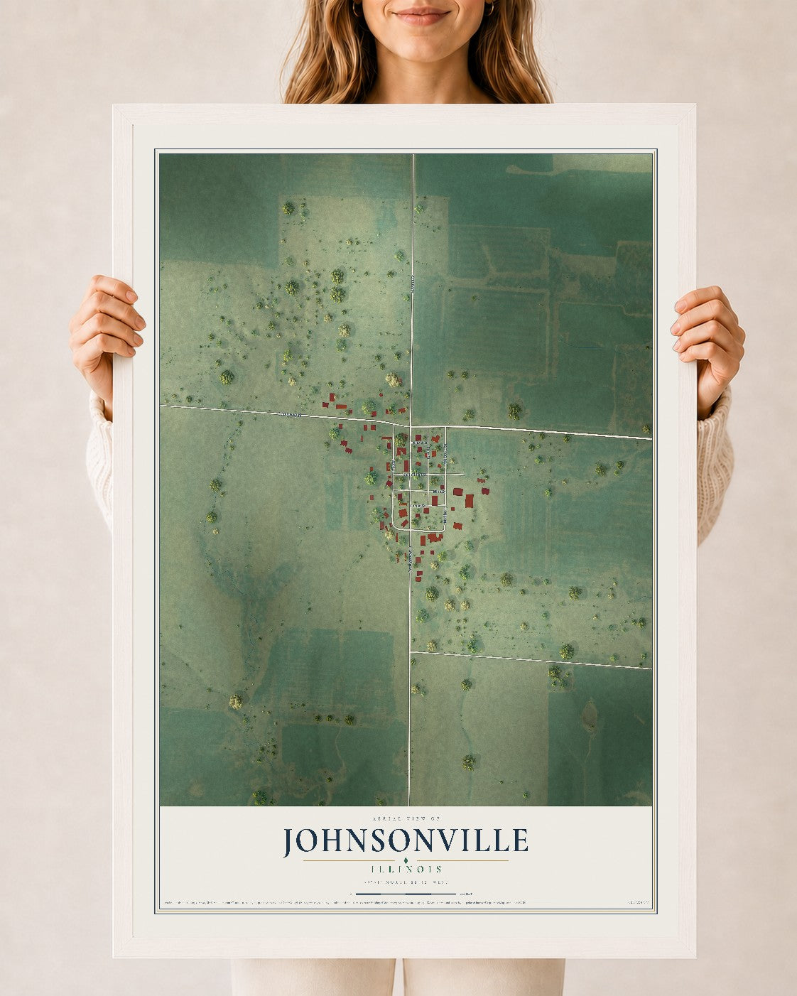 Map of Johnsonville, Illinois, 24 x 36 inch print in a white wood frame