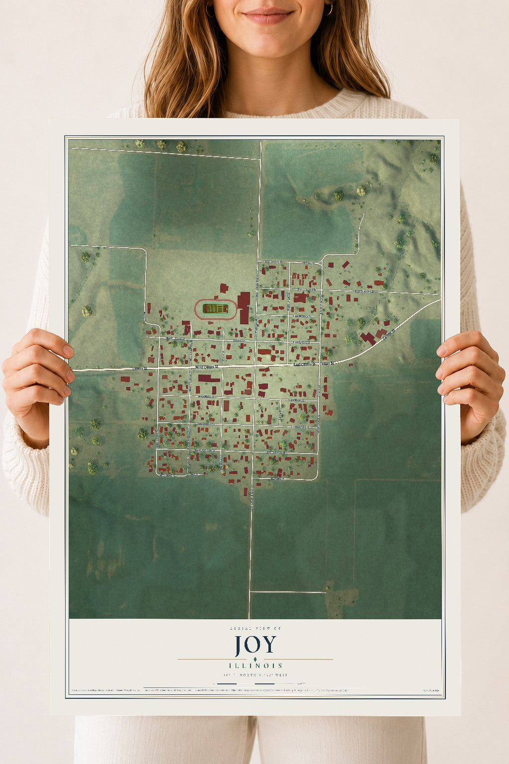 Map of Joy, Illinois, 18 x 24 inch unframed archival matte print