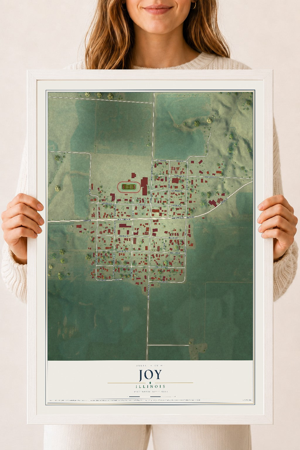 Map of Joy, Illinois, 18 x 24 inch print in a white wood frame