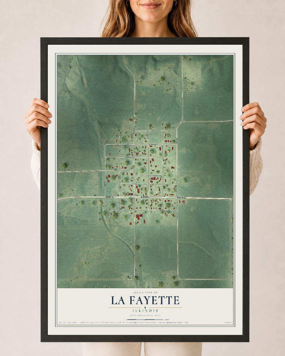 Map of La Fayette, Illinois, 24 x 36 inch print in a black wood frame