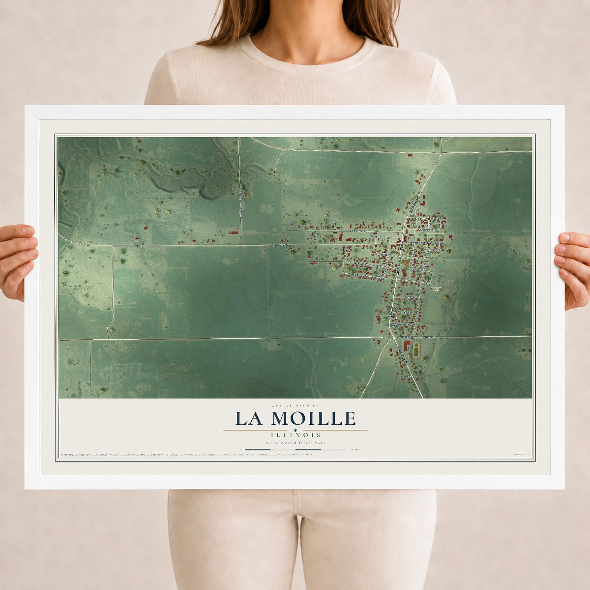 Map of La Moille, Illinois, 18 x 24 inch print in a white wood frame