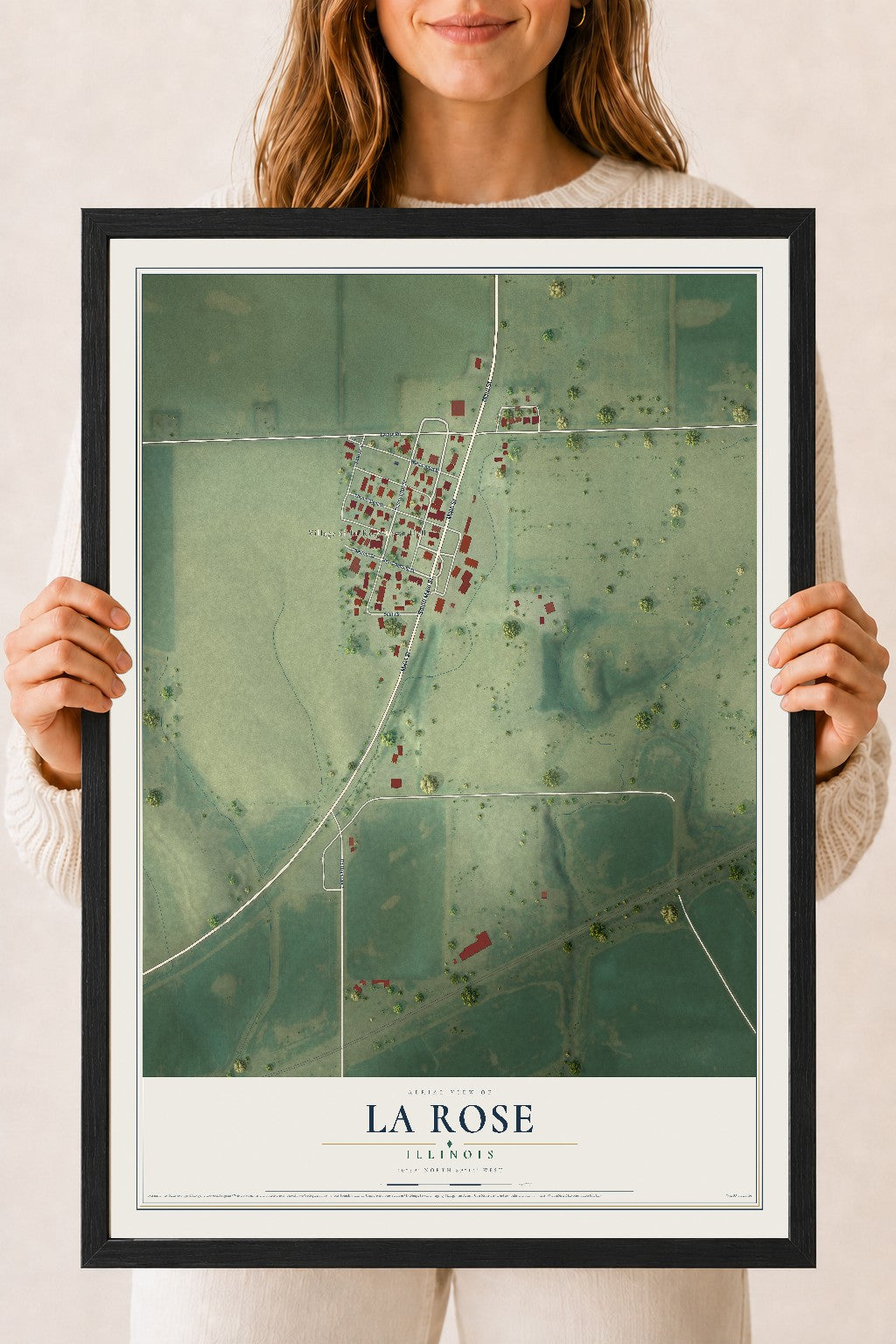 Map of La Rose, Illinois, 18 x 24 inch print in a black wood frame