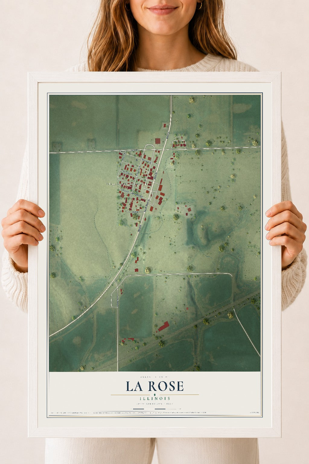 Map of La Rose, Illinois, 18 x 24 inch print in a white wood frame