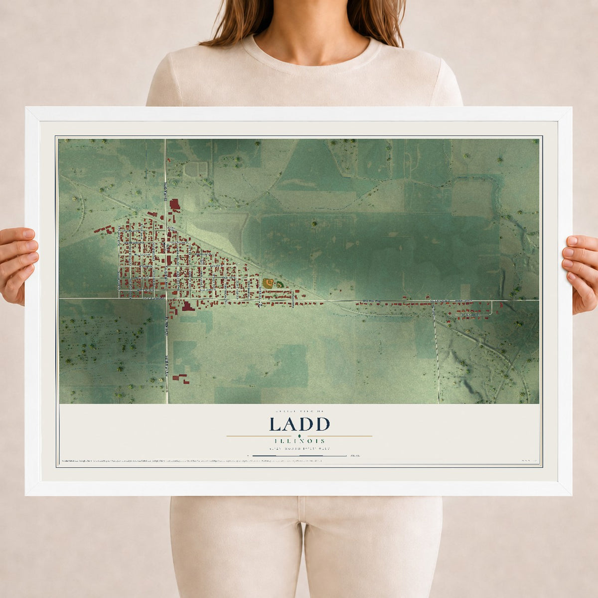 Map of Ladd, Illinois, 18 x 24 inch print in a white wood frame