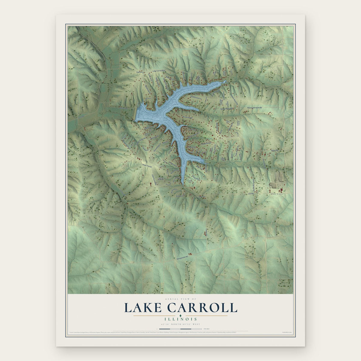 Lake Carroll, Illinois map print, the full design
