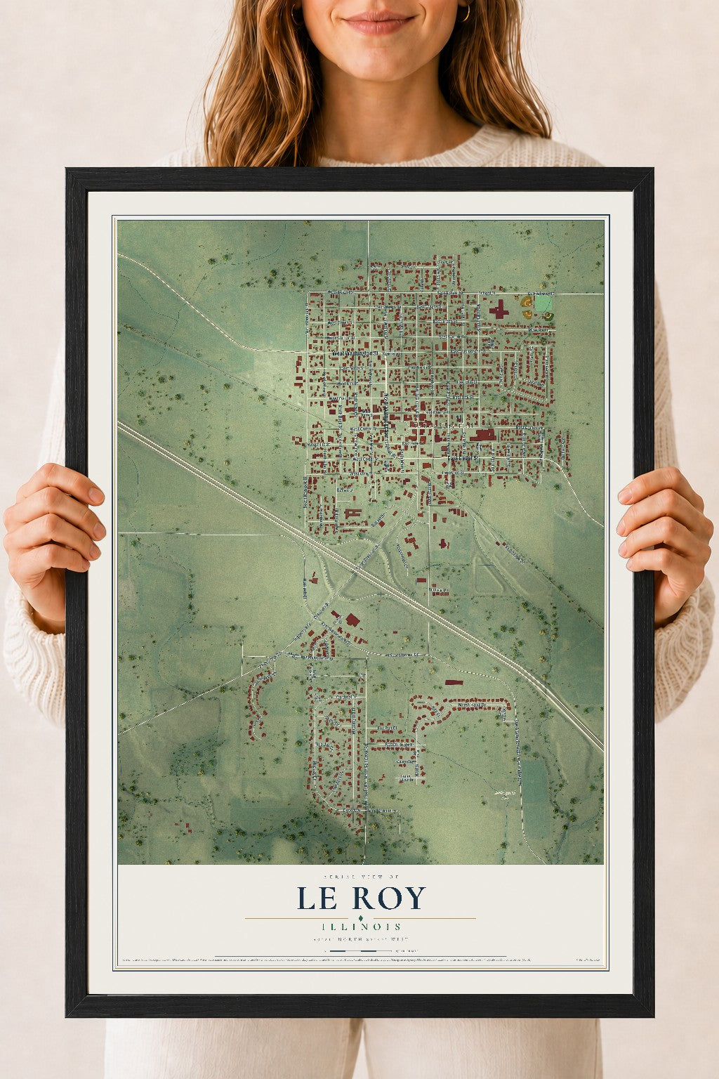 Map of Le Roy, Illinois, 18 x 24 inch print in a black wood frame