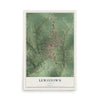 Map of Lewistown, Illinois, 12 x 18 inch unframed archival matte print
