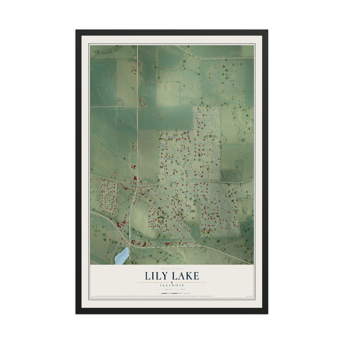 Map of Lily Lake, Illinois, 12 x 18 inch print in a black wood frame