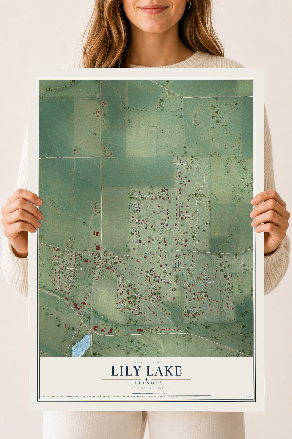Map of Lily Lake, Illinois, 18 x 24 inch unframed archival matte print
