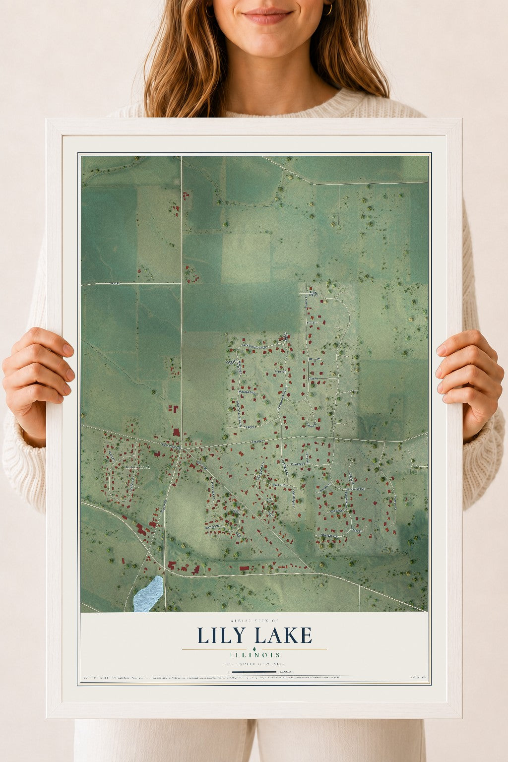 Map of Lily Lake, Illinois, 18 x 24 inch print in a white wood frame