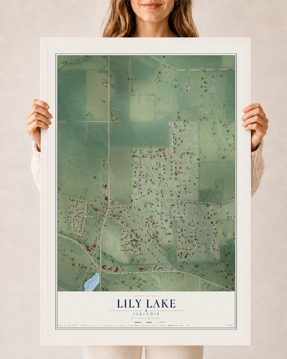 Map of Lily Lake, Illinois, 24 x 36 inch print in a white wood frame