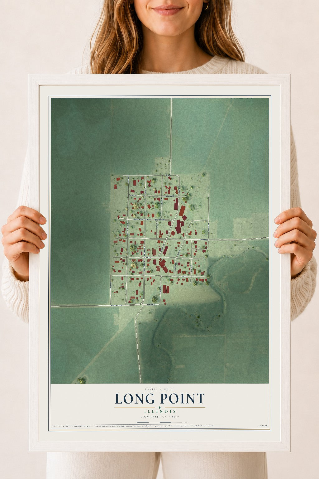 Map of Long Point, Illinois, 18 x 24 inch print in a white wood frame