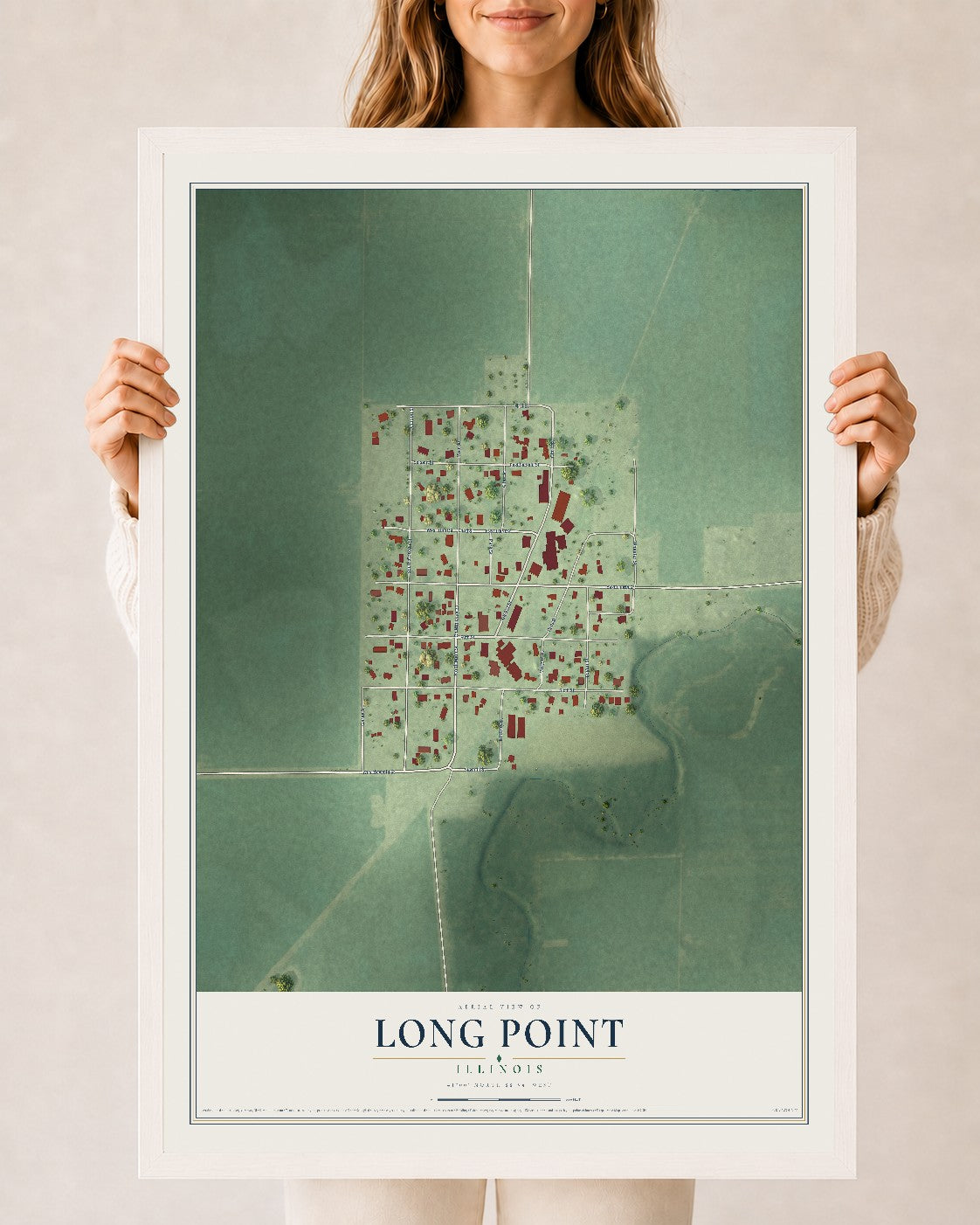 Map of Long Point, Illinois, 24 x 36 inch print in a white wood frame