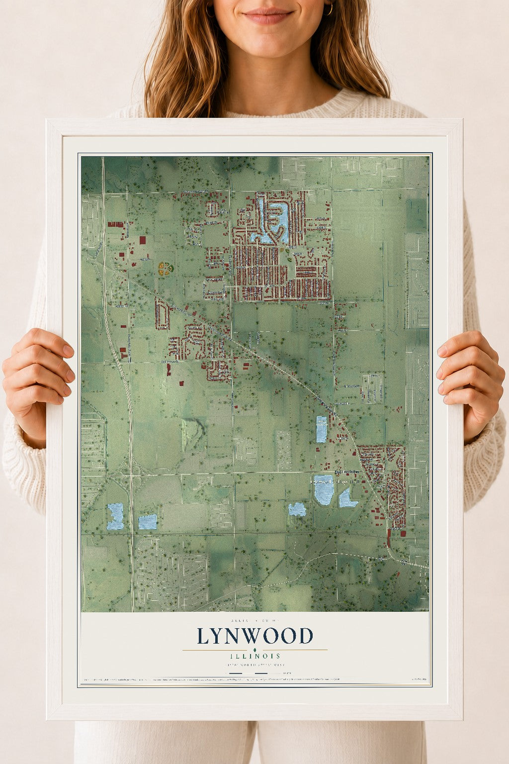 Map of Lynwood, Illinois, 18 x 24 inch print in a white wood frame