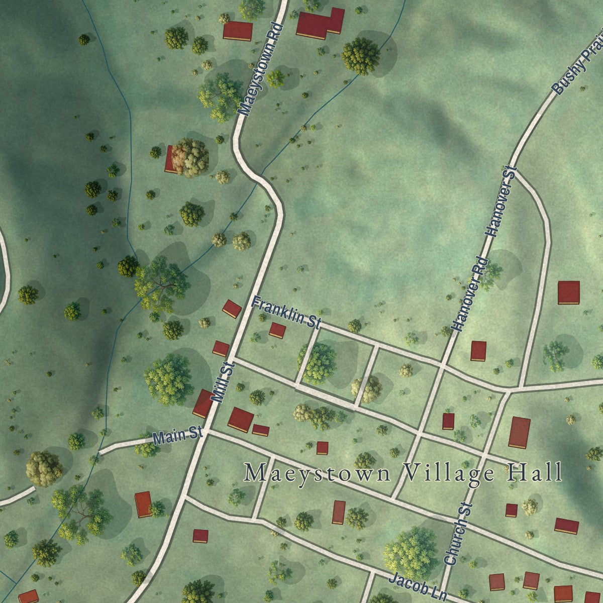 Close-up of the map of Maeystown, Illinois print showing street and building detail