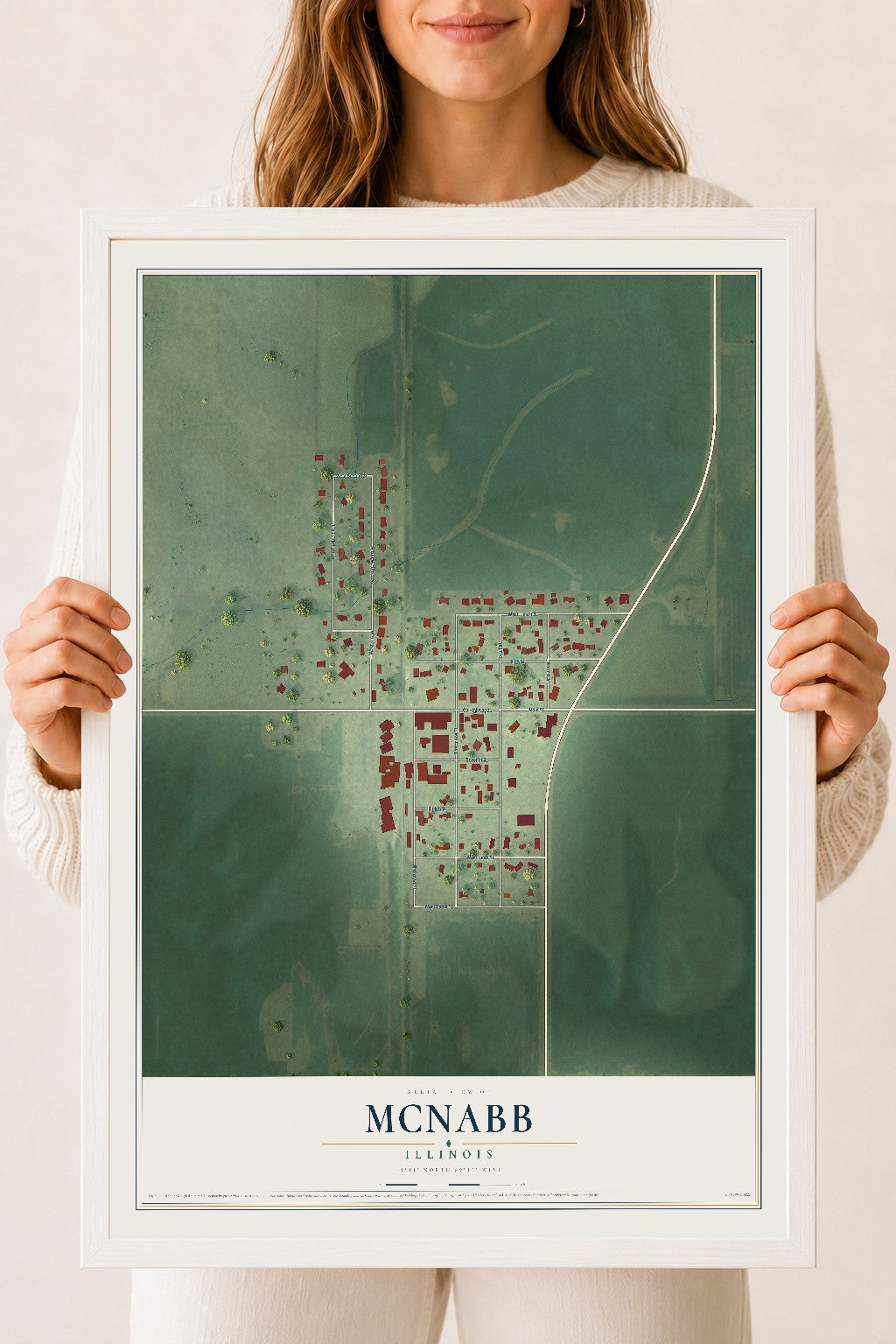 Map of McNabb, Illinois, 18 x 24 inch print in a white wood frame