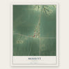 Merritt, Illinois map print, the full design