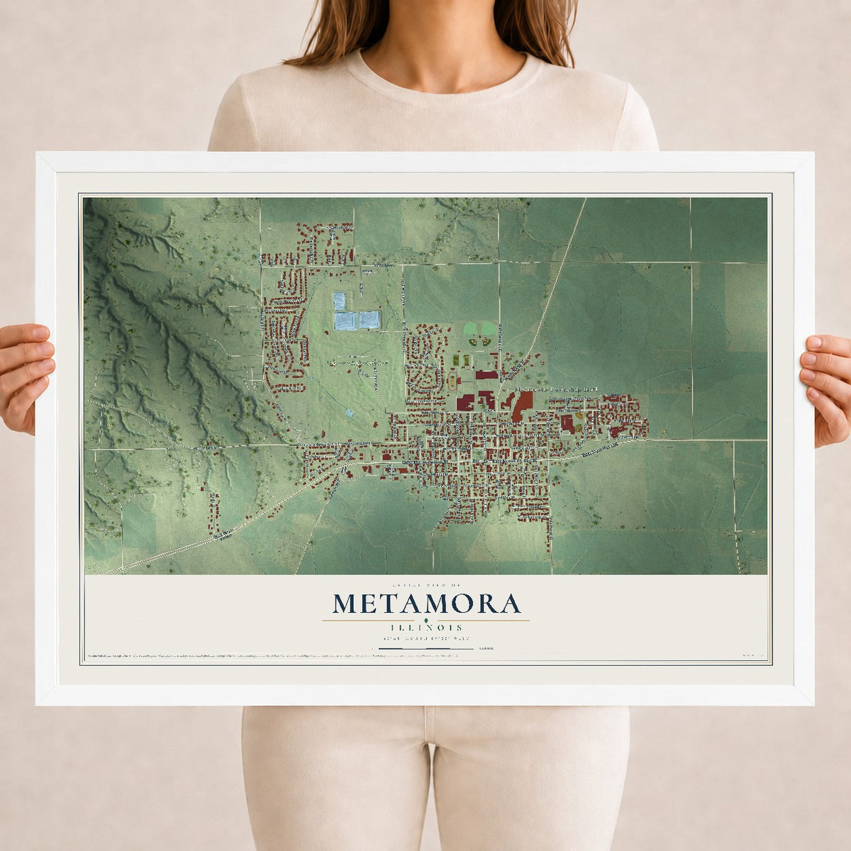 Map of Metamora, Illinois, 18 x 24 inch print in a white wood frame