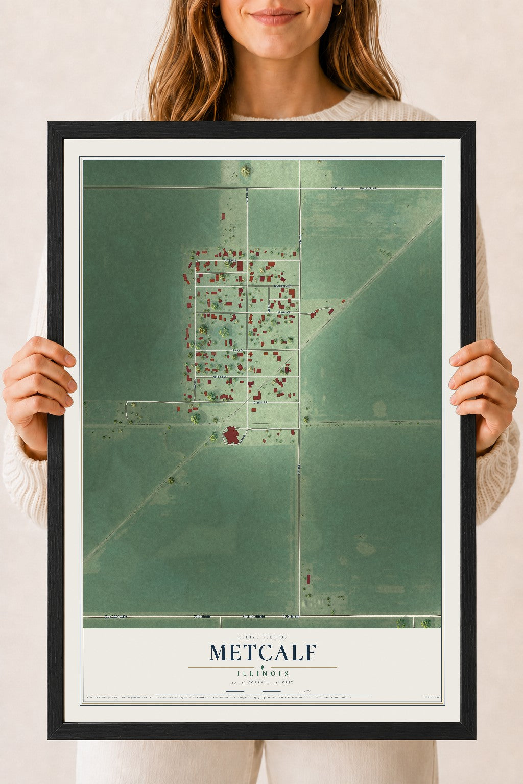 Map of Metcalf, Illinois, 18 x 24 inch print in a black wood frame