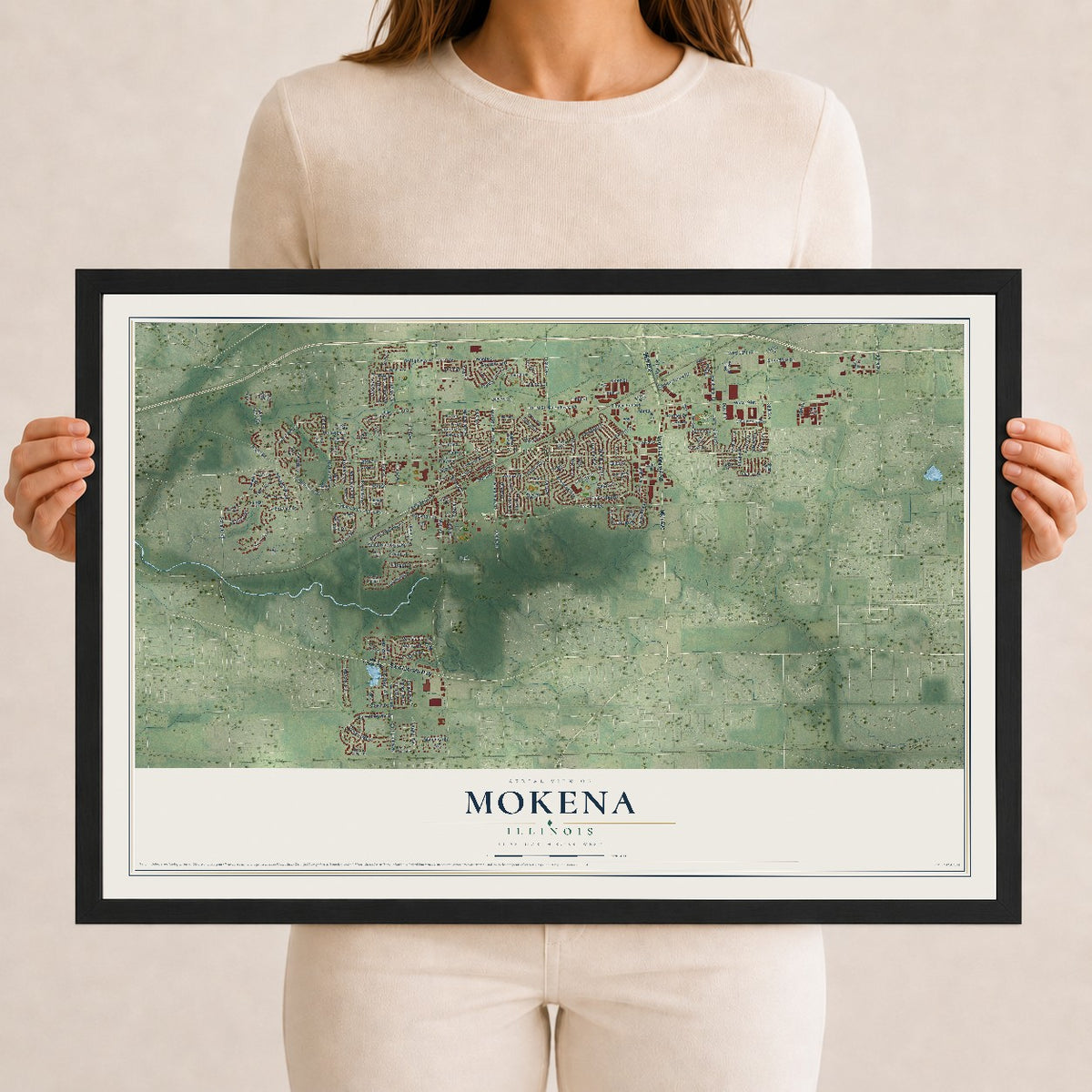 Map of Mokena, Illinois, 12 x 18 inch print in a black wood frame