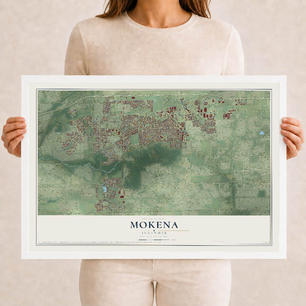 Map of Mokena, Illinois, 12 x 18 inch print in a white wood frame
