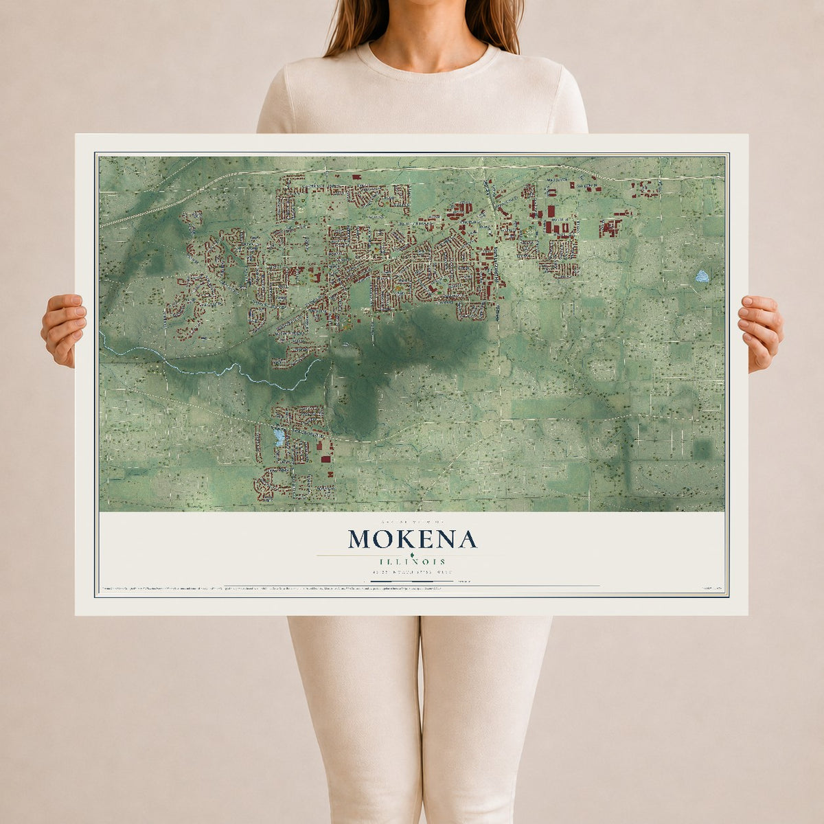 Map of Mokena, Illinois, 24 x 36 inch unframed archival matte print