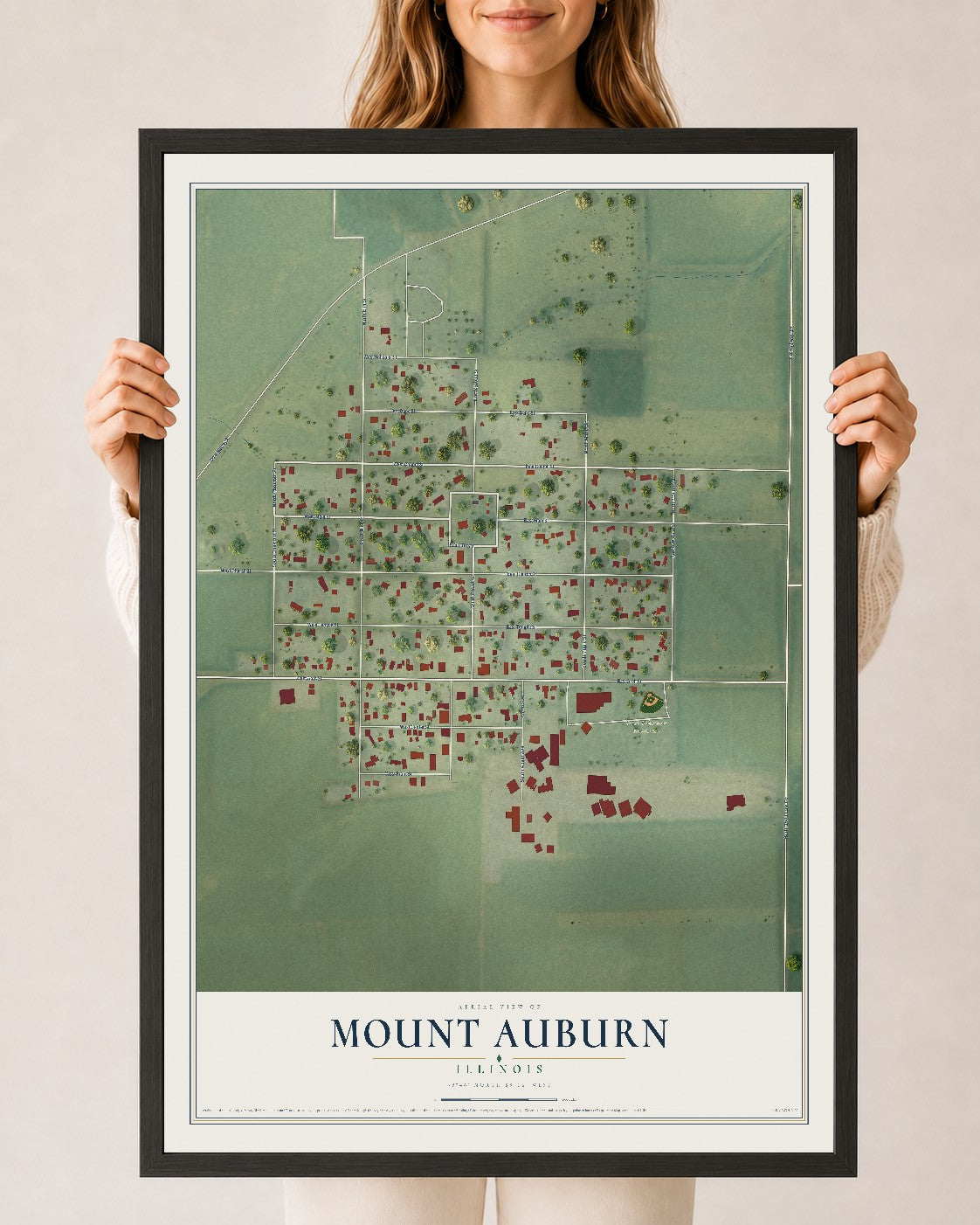Map of Mount Auburn, Illinois, 24 x 36 inch print in a black wood frame