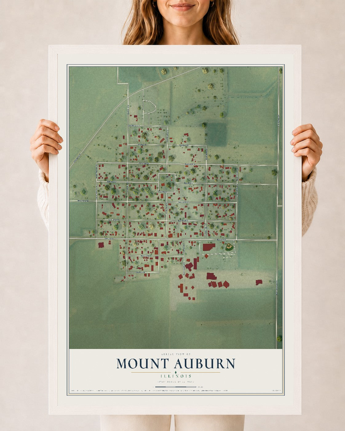Map of Mount Auburn, Illinois, 24 x 36 inch print in a white wood frame