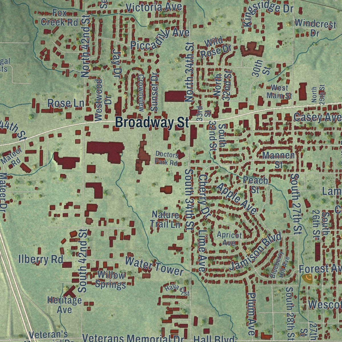 Close-up of the map of Mount Vernon, Illinois print showing street and building detail