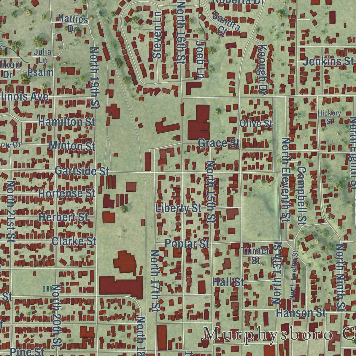 Close-up of the map of Murphysboro, Illinois print showing street and building detail