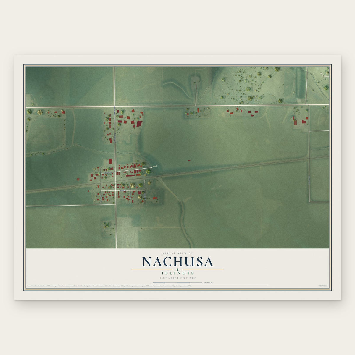 Nachusa, Illinois map print, the full design