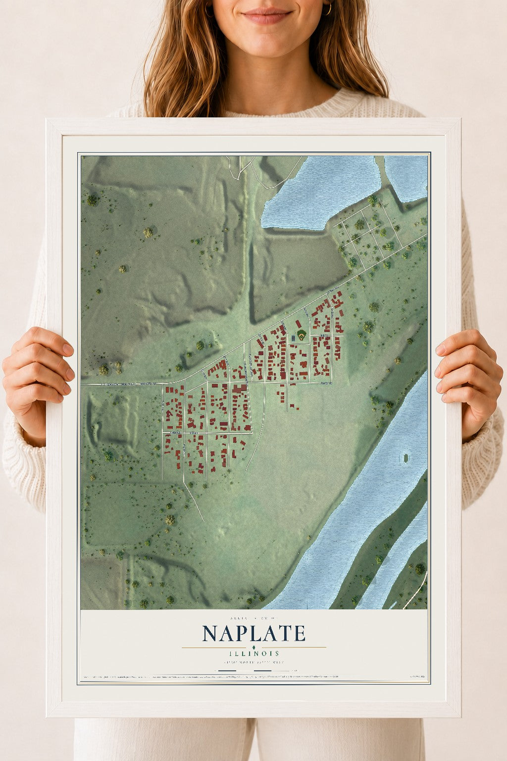 Map of Naplate, Illinois, 18 x 24 inch print in a white wood frame