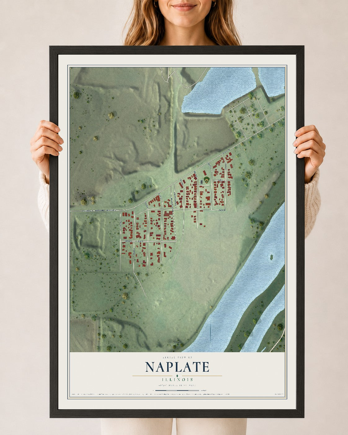 Map of Naplate, Illinois, 24 x 36 inch print in a black wood frame