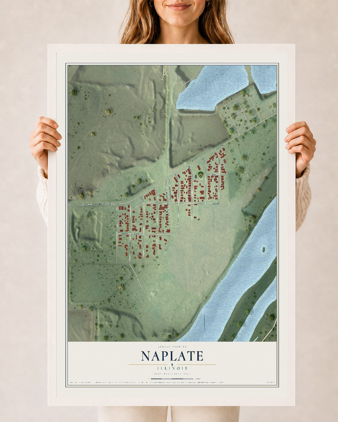 Map of Naplate, Illinois, 24 x 36 inch print in a white wood frame