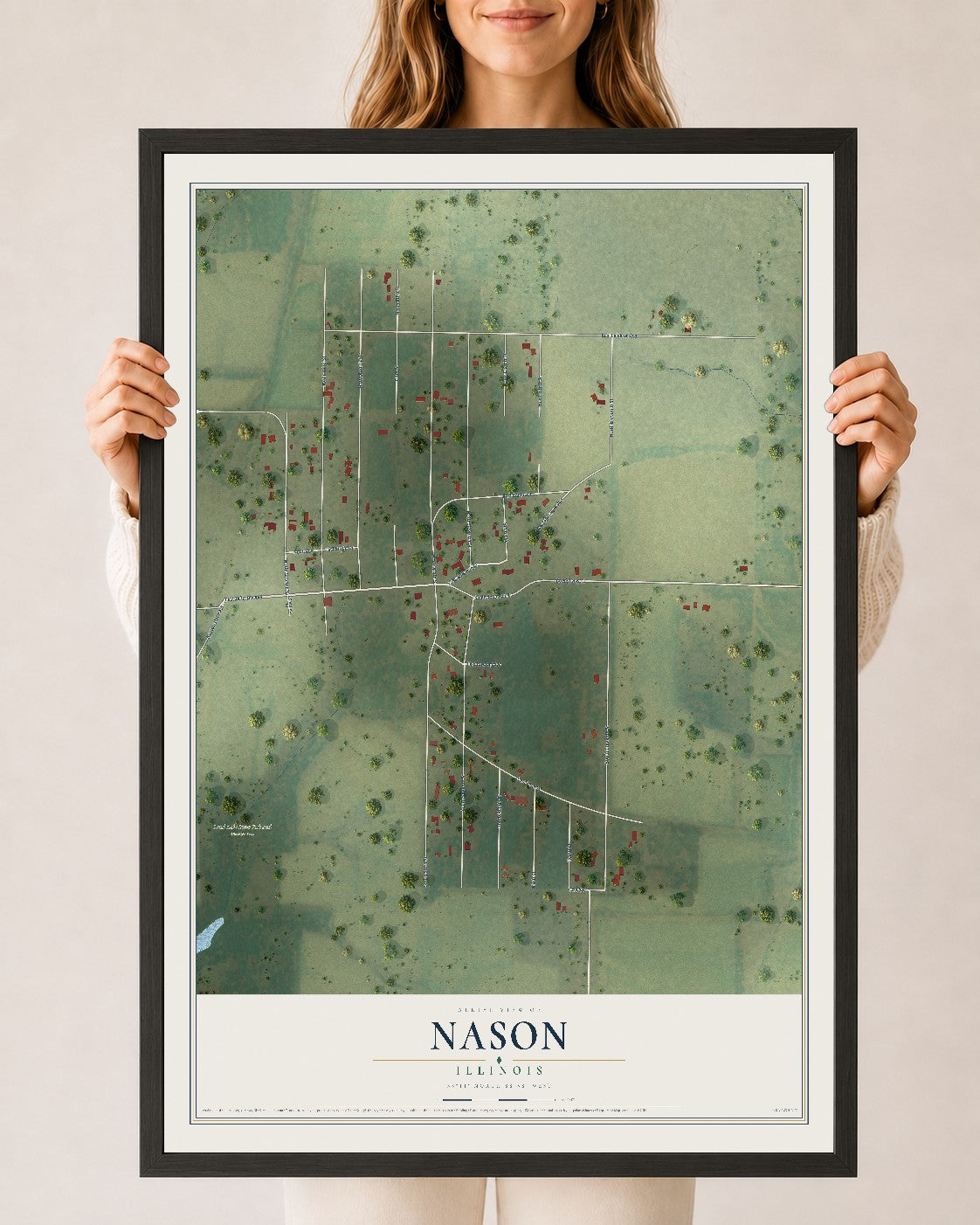 Map of Nason, Illinois, 24 x 36 inch print in a black wood frame