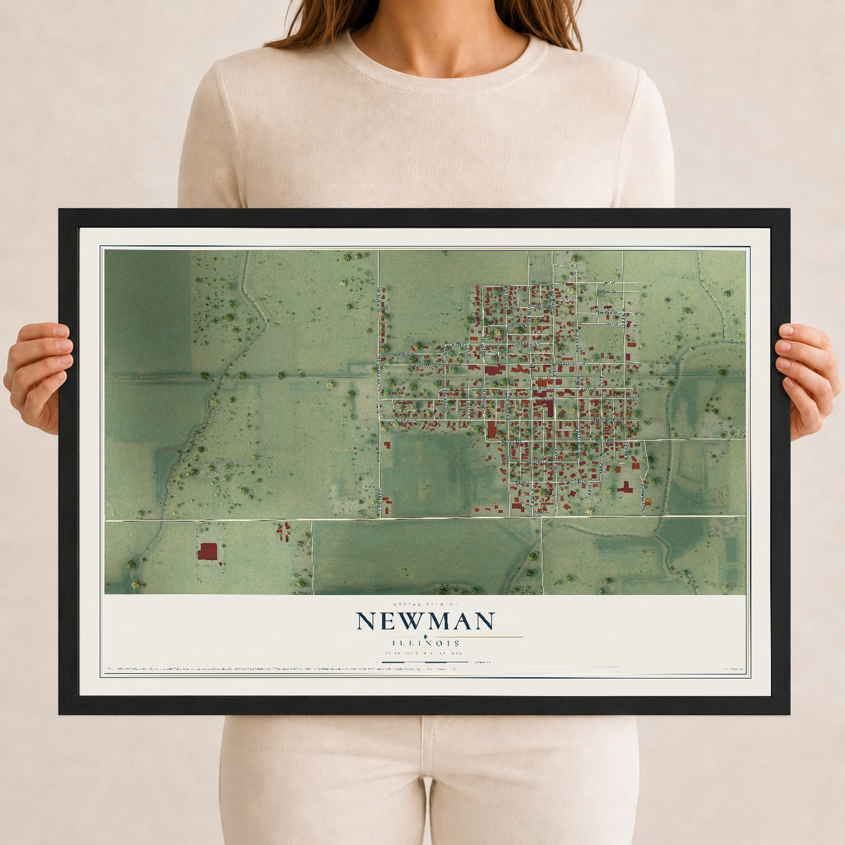 Map of Newman, Illinois, 12 x 18 inch print in a black wood frame