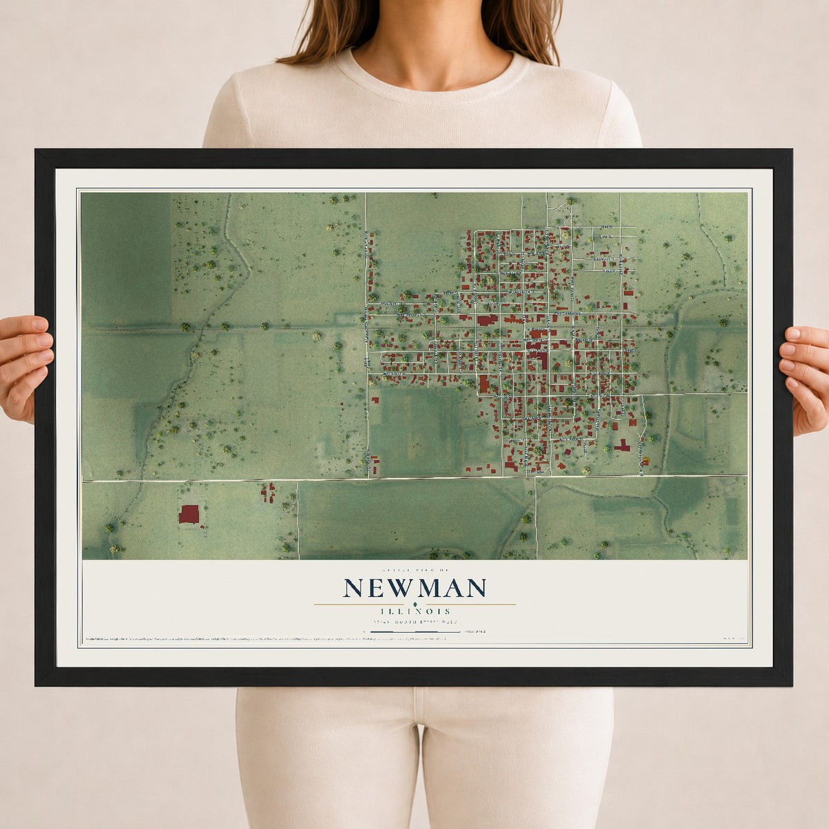 Map of Newman, Illinois, 18 x 24 inch print in a black wood frame