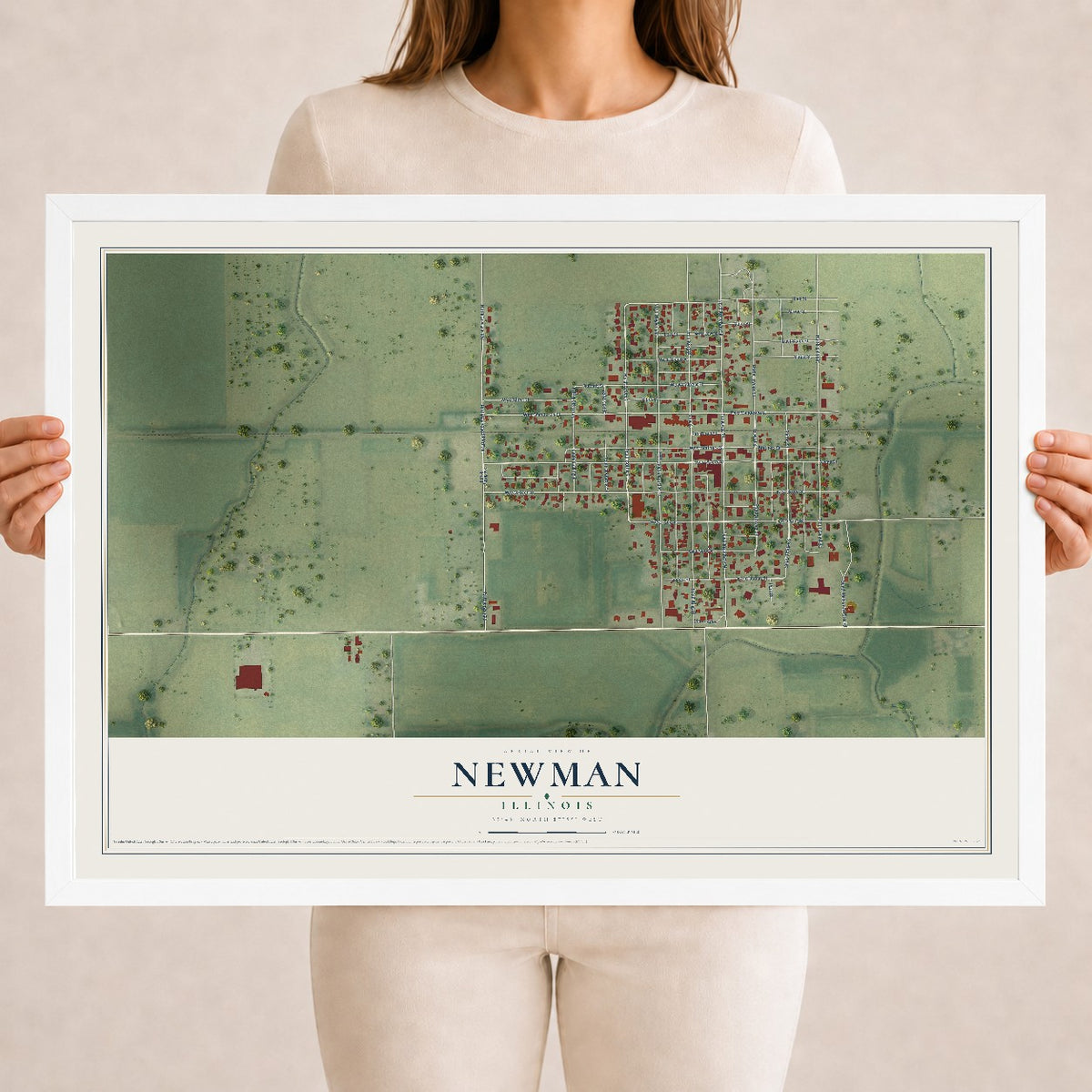 Map of Newman, Illinois, 18 x 24 inch print in a white wood frame