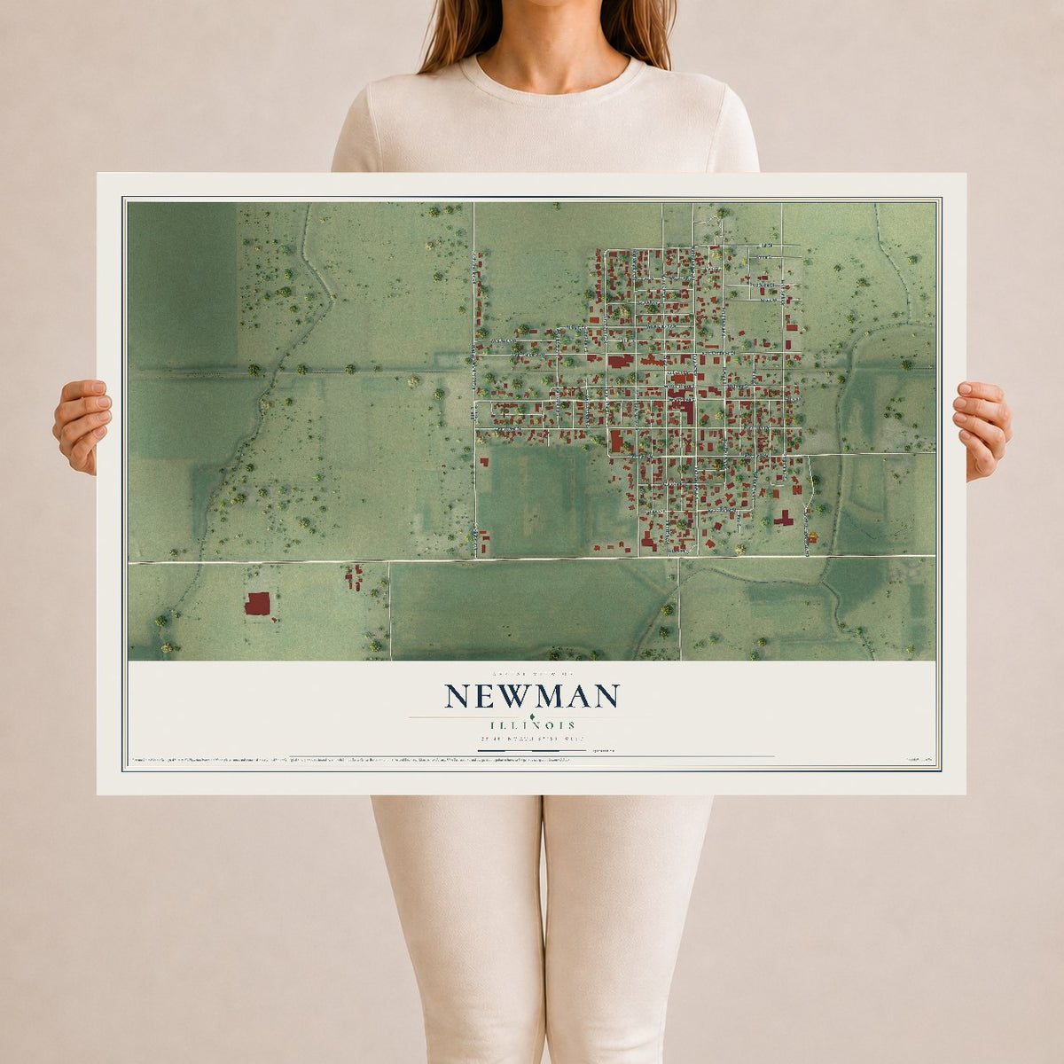 Map of Newman, Illinois, 24 x 36 inch unframed archival matte print