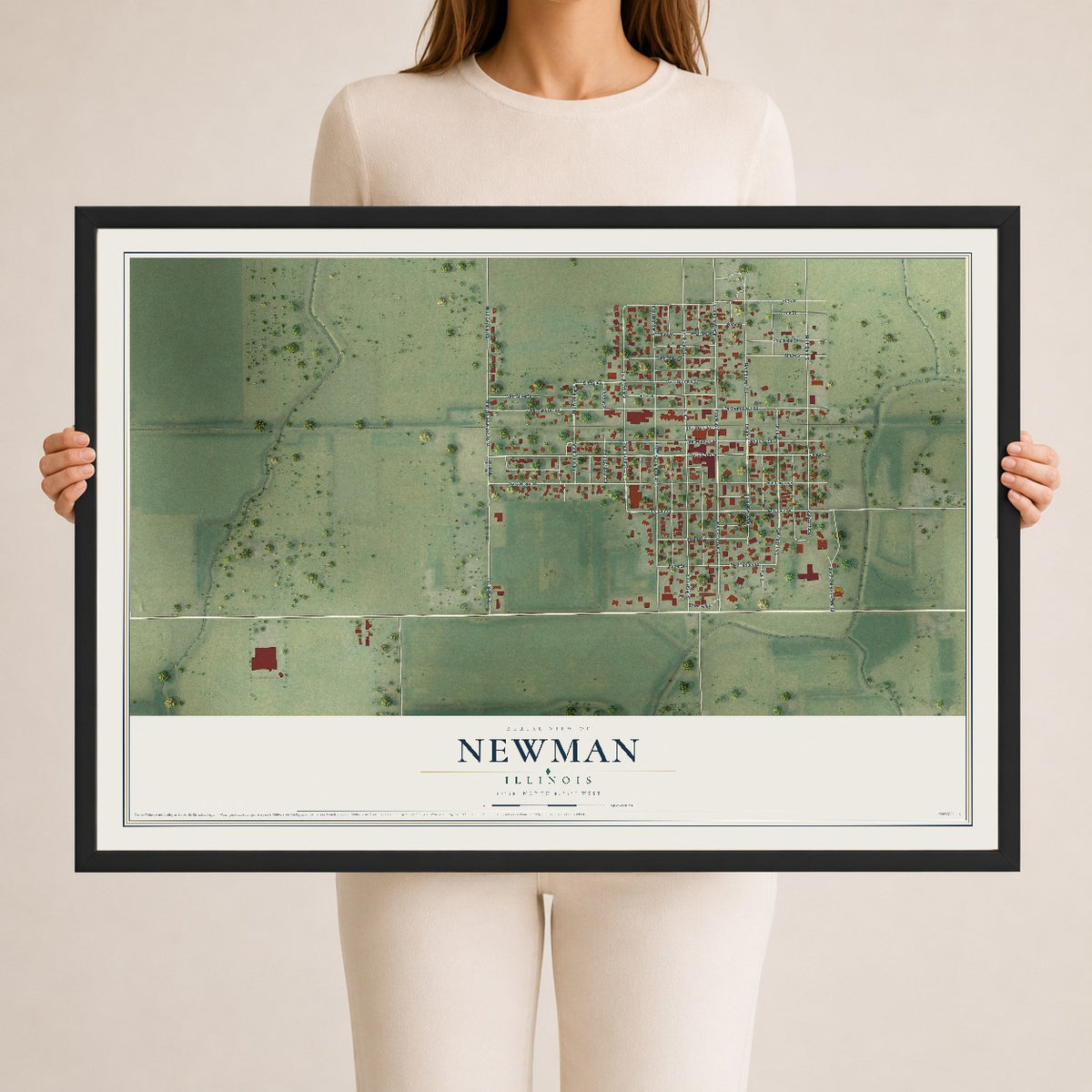 Map of Newman, Illinois, 24 x 36 inch print in a black wood frame
