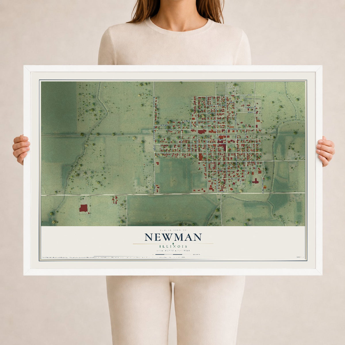 Map of Newman, Illinois, 24 x 36 inch print in a white wood frame
