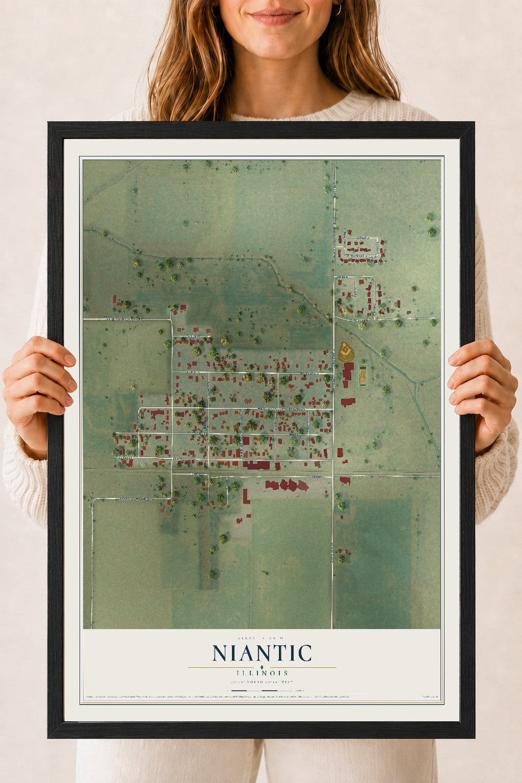 Map of Niantic, Illinois, 18 x 24 inch print in a black wood frame