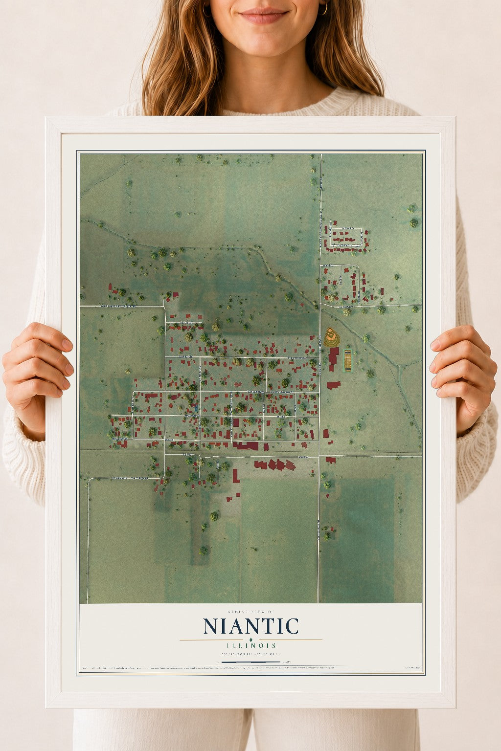 Map of Niantic, Illinois, 18 x 24 inch print in a white wood frame